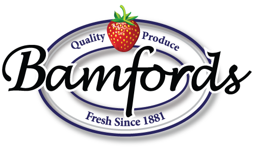 Client Logo 17